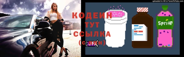 гашиш Богданович