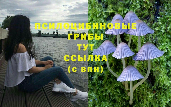 ALPHA-PVP Богородск