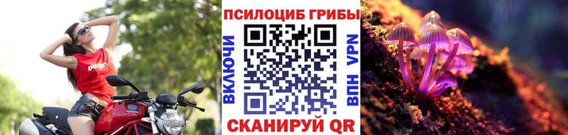 Псилоцибиновые грибы Cubensis  Валуйки 